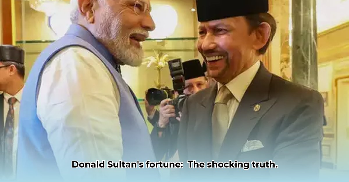 donald-sultan-net-worth